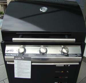 Grills Gas-Grill grillieren Grill Zubeh�r Lachen am Z�richsee