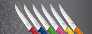 Victorinox K�chenmesser Haushaltsmesser Brotmesser R�stmesser Z�richsee Obersee March h�fe Schwyz