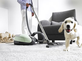 Allergie Staubsauger, Hundebürste, Katzenbürste, Tiefenpflege, Hepa-Filter